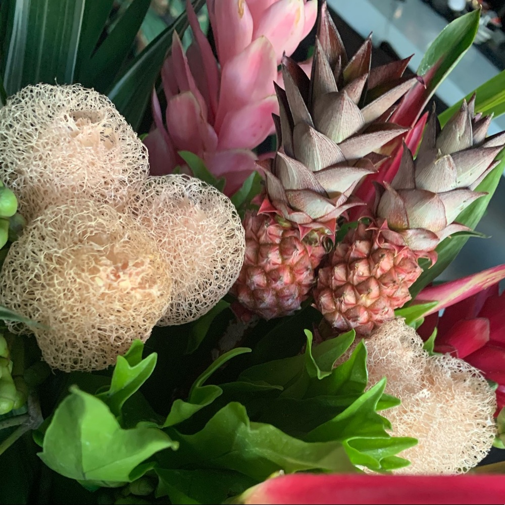 Meet your Posher, Chelsey